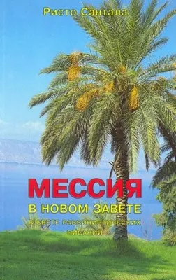 Обложка: Мессия в Новом Завете в свете раввинистических писаний