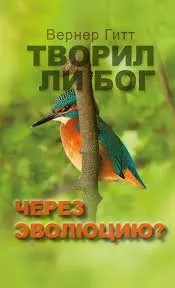 Обложка: Творил ли Бог через эволюцию?